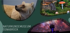 Titelbild Museum am Schölerberg