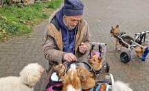 Dog and Roll - Gassigehen mit den Rolli-Hunden