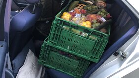 Lebensmittelkörbe auf der Rückbank Lebensmittelkörbe auf der Rückbank