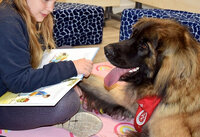 Kind liest Hund aus einem Buch vor