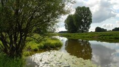 Landschaftsaufnahme im Landkreis Lingen