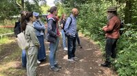 Impression vom Waldspaziergang