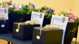 Auszeichnung "Blinkfüür" Auszeichnung "Blinkfüür"