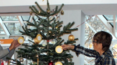 Weihnachtsbaum im FZH.png