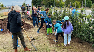 Kräftiges Anpacken beim Pflanzen der Hecke Kräftiges Anpacken beim Pflanzen der Hecke
