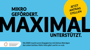 Grafik zum Mikroförderprogramm der Deutschen Stiftung für Engagement und Ehrenamt mit Programmtitel und Stiftungslogo