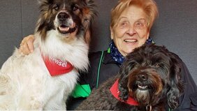 Alte Frau begeistert mit zwei Hunden
